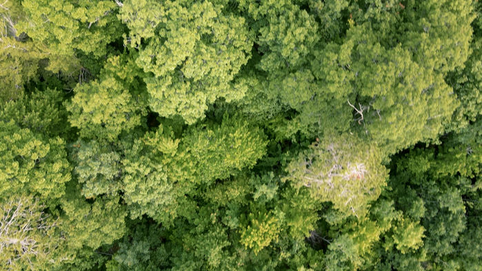 LDF Tribal Campground and Marina